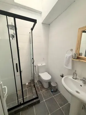 a bathroom with a shower and a toilet and a sink at walkabout apart in Istanbul