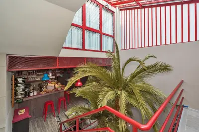 a restaurant with a palm tree in a room at Taksim Istanbul Nis Hotel - Istiklal Street in Istanbul