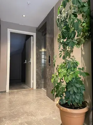 a large plant in a pot in a hallway at Mery Hotel İstanbul in Istanbul