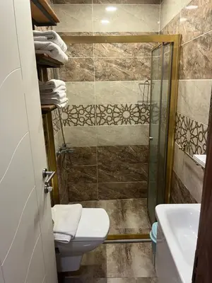 a bathroom with a shower and a toilet and a sink at Mutlu flat in Istanbul