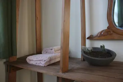 a wooden shelf with a mirror and a plant on it at Stunning 5 Bedroom Sunlit Apartment Galata in Istanbul