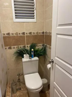 a bathroom with a toilet with a plant on top of it at sultans corner in Istanbul