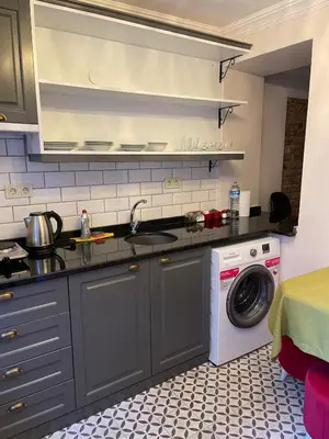 a kitchen with a sink and a washing machine at Ozcans Pera Flats 9 in Istanbul