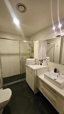 a bathroom with a toilet and a sink and a shower at Bright 2BR Home in Central Istanbul in Istanbul