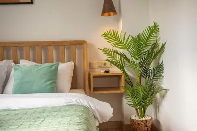 a bedroom with a green plant next to a bed at Firuzağa Retreat Studio in Beyoğlu in Istanbul