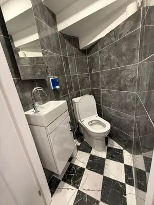 a bathroom with a toilet and a sink at AYD Apartment Beyoğlu in Istanbul