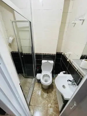 a small bathroom with a toilet and a sink at Taksim Historic House hotel in Istanbul