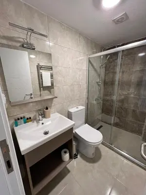 a bathroom with a toilet and a shower and a sink at 360 NACRE taksim in Istanbul
