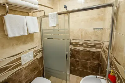 a bathroom with a shower and a toilet at Lion Stone Hotel in Istanbul