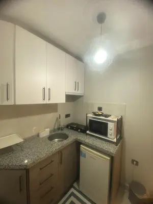 a small kitchen with a sink and a microwave at historic stay istanbul in Istanbul