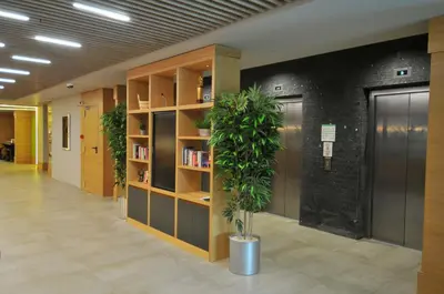 a hallway with a book shelf and a potted plant at Holiday Inn Istanbul - Kadikoy by IHG in Istanbul