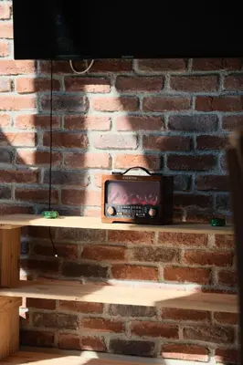 a tv sitting on top of a brick wall at Sapancaacarkonaklama in Sapanca