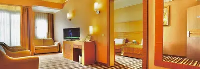 a hotel room with a bed and a television at İSTANBUL Taksim Palece OTEL in Istanbul