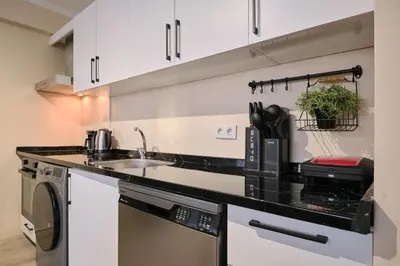a kitchen with a sink and a dishwasher at House Kadıköy in Istanbul