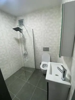 a bathroom with a shower and a toilet and a sink at ŞAH apartmanı in Istanbul