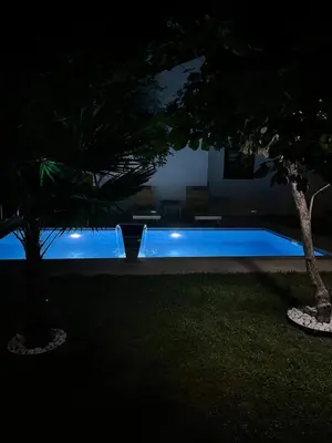 a blue swimming pool at night with two trees at Selbeshome in Sapanca