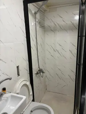 a bathroom with a shower and a toilet and a sink at Taksim Cinar Suit in Istanbul