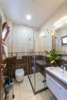 a bathroom with a shower and a toilet and a sink at Boutique Sultan Hotel & Restauran in Istanbul