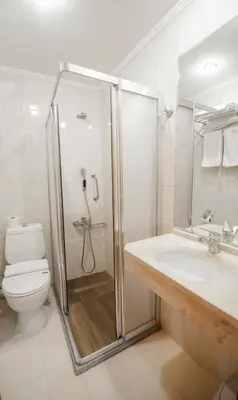 a bathroom with a shower and a toilet and a sink at Sahinler Hotel in Istanbul