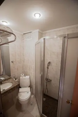 a bathroom with a toilet and a shower and a sink at Sahinler Hotel in Istanbul