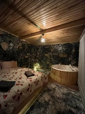 a bedroom with a bed and a bath tub at Sakaryabungalow in Geyve