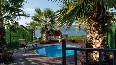 a pool with a palm tree and a chair and the ocean at Regulus Sapanca in Sapanca