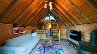 a living room with a couch and a tv in a cabin at Regulus Sapanca in Sapanca