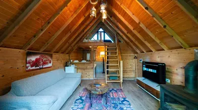 a living room with a couch and a tv in a cabin at Regulus Sapanca in Sapanca