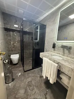 a bathroom with a shower and a sink and a toilet at Elysia Plus in Istanbul