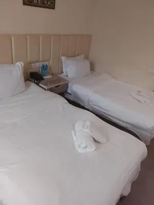 two beds sitting next to each other in a room at İSTANBUL ESRA Hotel in Istanbul