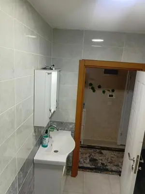 a bathroom with a toilet and a sink and a shower at Sağlam Apartments 1 in Istanbul
