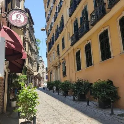 an empty street with potted plants and buildings at A Modernized Apt In The Historic Area Of Istanbul in Istanbul