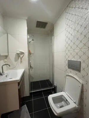 a bathroom with a toilet and a sink and a shower at Taxim Filia Apart in Istanbul