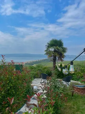 a garden with a palm tree and chairs and the ocean at Sapanca Liva Bungalov in Sapanca