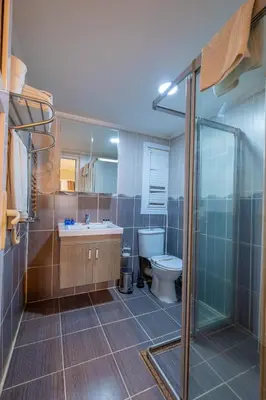 a bathroom with a toilet and a sink and a shower at Big Apple hotel istanbul in Istanbul