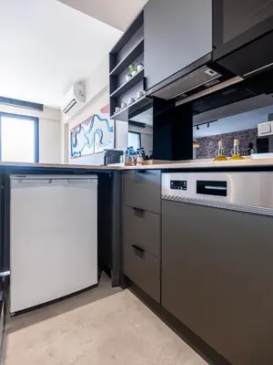 a kitchen with a stove and a dishwasher at Historic34 Modern Cozy Apartment Golden Horn in Istanbul