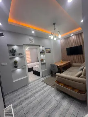 a living room with a couch and a table at WhiteBird Apartments in Istanbul