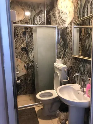a bathroom with a toilet and a sink at Theodora Hostel in Istanbul