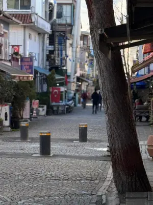 a cobblestone street in a city with a tree at Valenzasuites in Tuzla