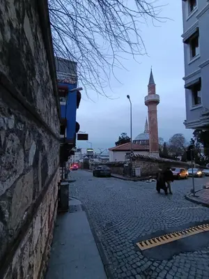 a dog walking down a street with a clock tower at Amoria House Sultanahmet in Istanbul