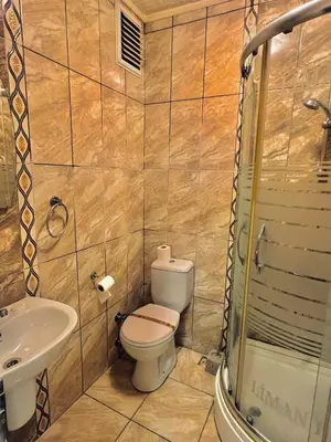 a bathroom with a toilet and a sink and a shower at Liman Hotel in Istanbul
