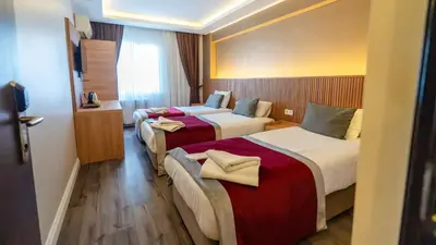 Gallery image of Diana Hotel in Istanbul