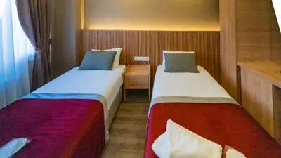Gallery image of Diana Hotel in Istanbul