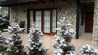 a group of snow covered trees in front of a door at Sapanca Vi̇lla Bahce Şükriye Küçükal in Sapanca