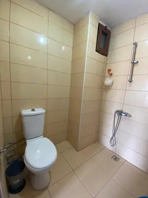 a bathroom with a toilet and a shower at Lapina Suite & Restaurant in Cebeci