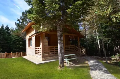 a log cabin with a bench in the grass at Uludag Orman Koskleri in Uludag
