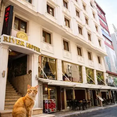Istanbul River Hotel