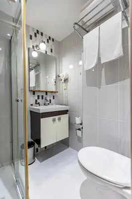 a bathroom with a shower and a toilet and a sink at Elasophia Hotel in Istanbul