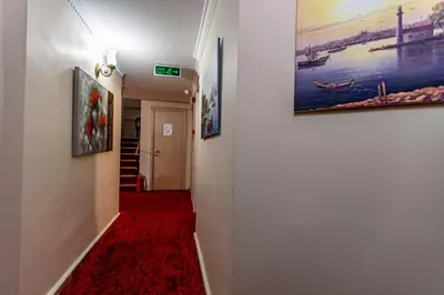 a hallway with paintings on the walls and a red carpet at Elasophia Hotel in Istanbul