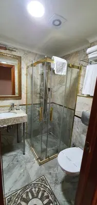 a bathroom with a shower and a toilet and a sink at Asur Hotel in Istanbul